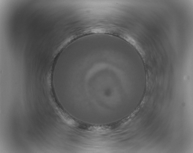 X0000071810297200607072124