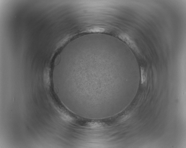 X0000071810300200607072124