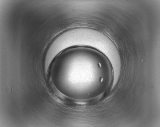 X0000071810301200607072124