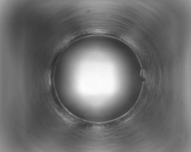 X0000071810302200607072124