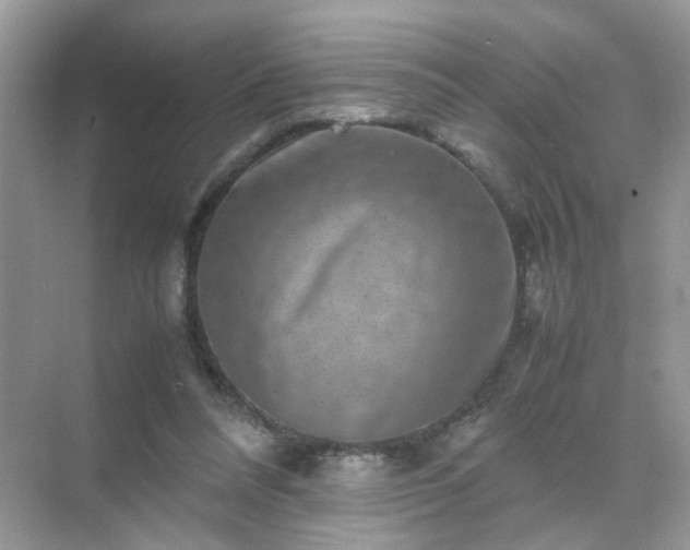 X0000071810304200607072124