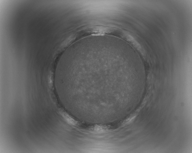 X0000071810305200607072124