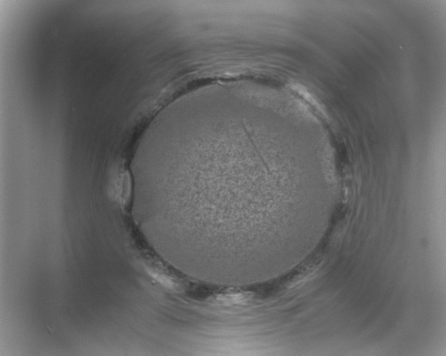 X0000071810307200607072124