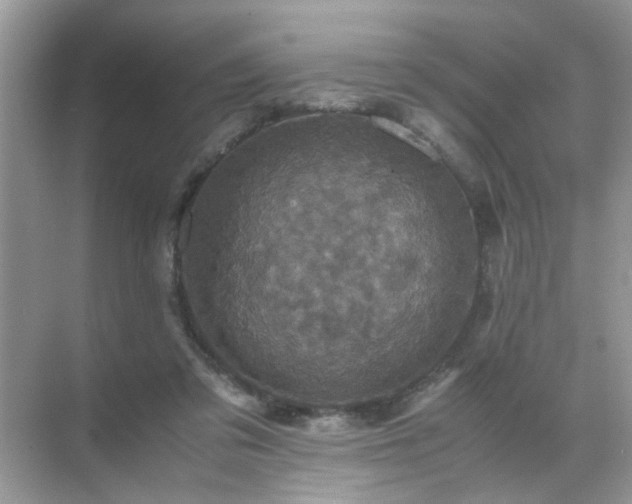 X0000071810309200607072124