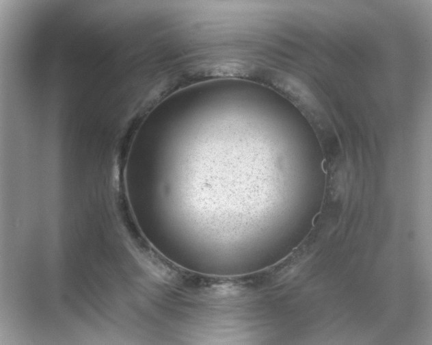 X0000071810310200607072124