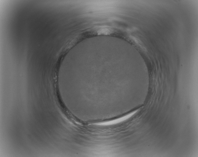 X0000071810311200607072124