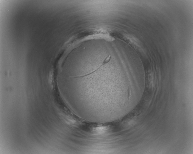 X0000071810312200607072124