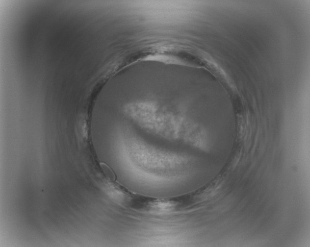 X0000071810313200607072124