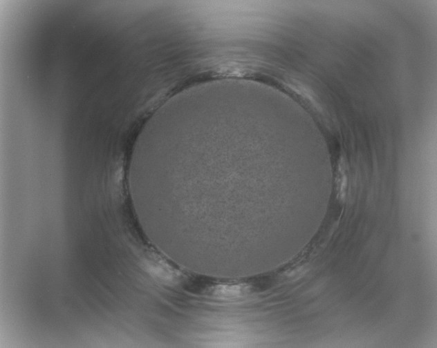 X0000071810314200607072124