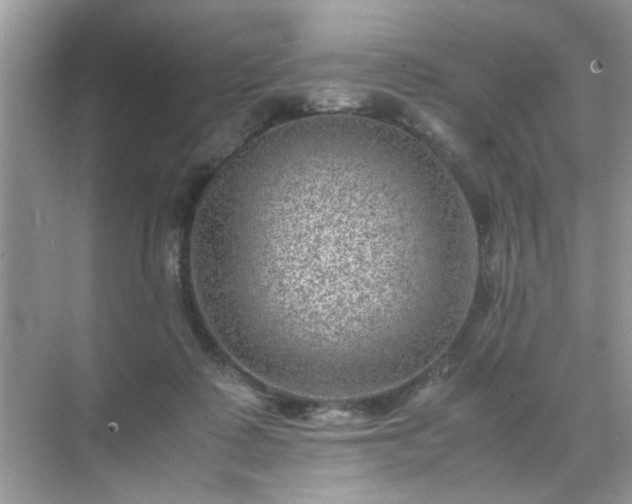 X0000071810315200607072124