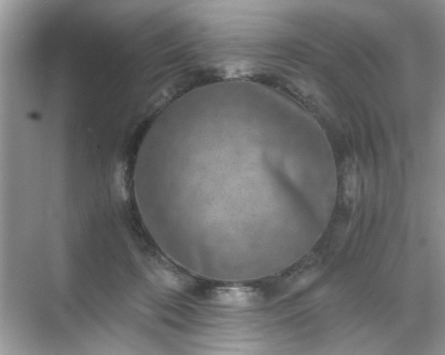 X0000071810316200607072124