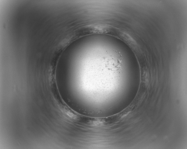 X0000071810318200607072124