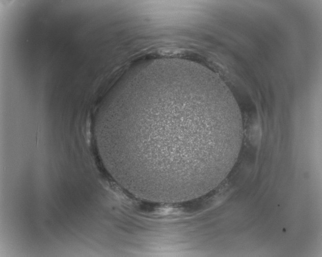 X0000071810319200607072124