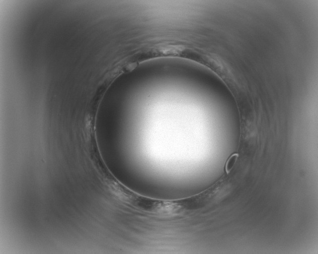 X0000071810321200607072124