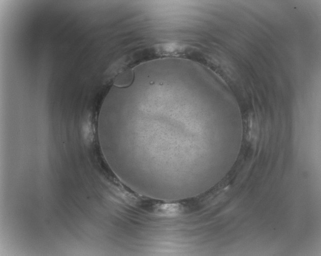 X0000071810324200607072124