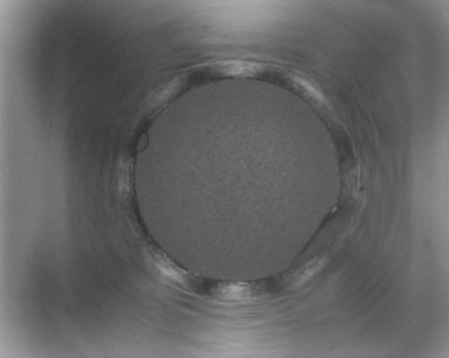 X0000071810325200607072124