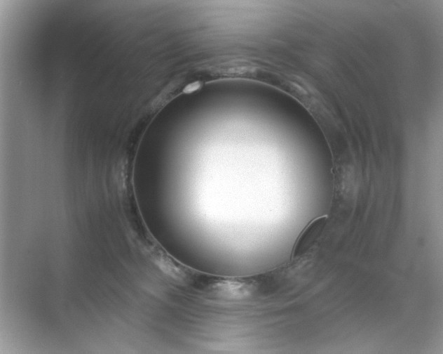 X0000071810326200607072124