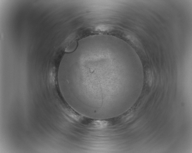 X0000071810328200607072124