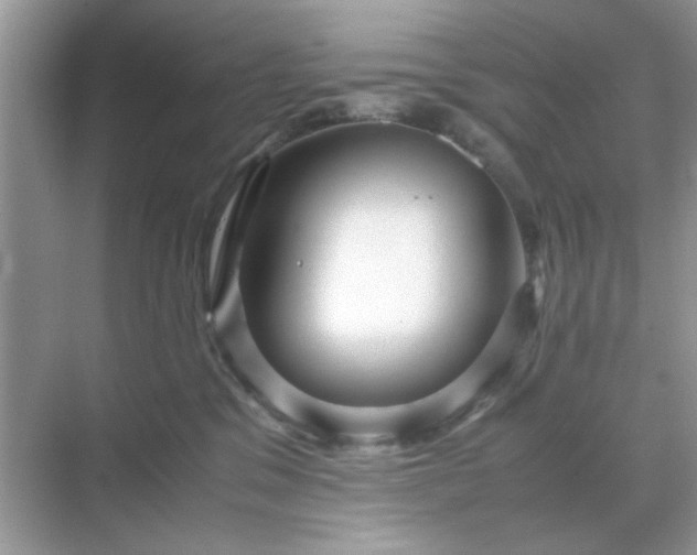 X0000071810329200607072124