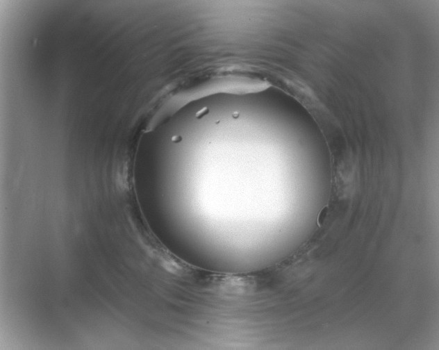 X0000071810330200607072124