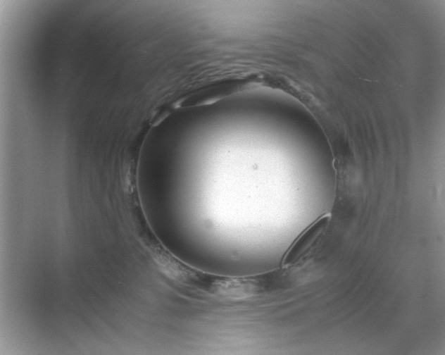 X0000071810331200607072124