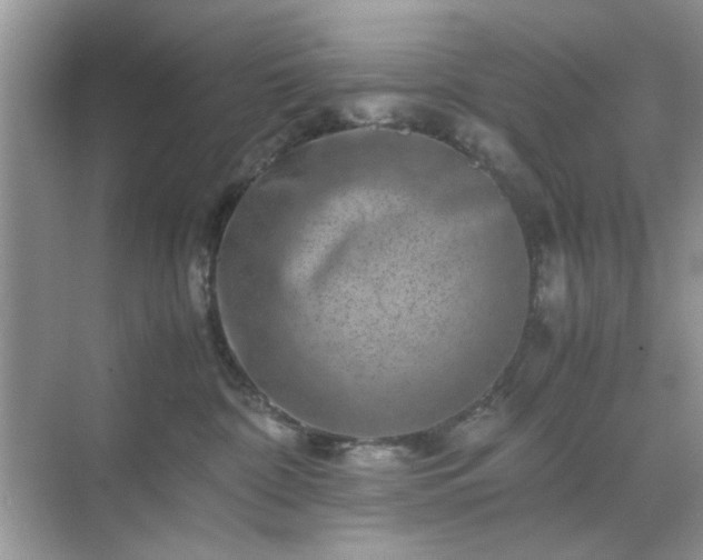 X0000071810332200607072124