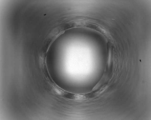 X0000071810333200607072124