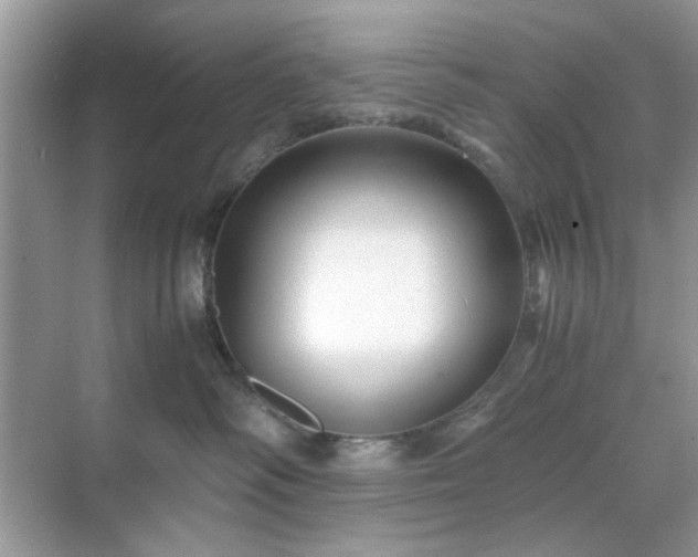 X0000071810334200607072124