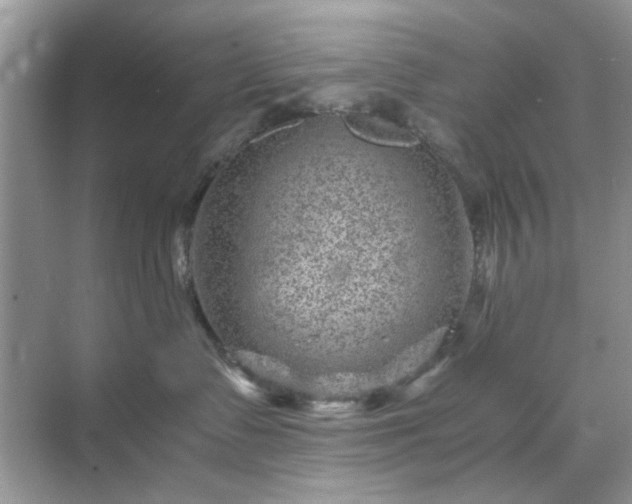 X0000071810335200607072124