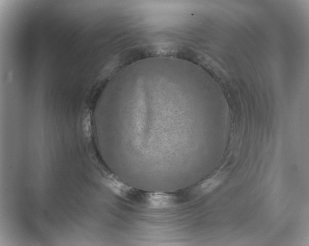 X0000071810336200607072124