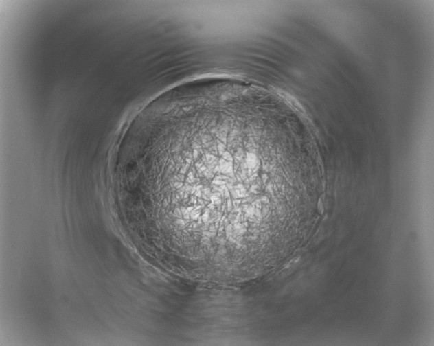 X0000071810337200607072123