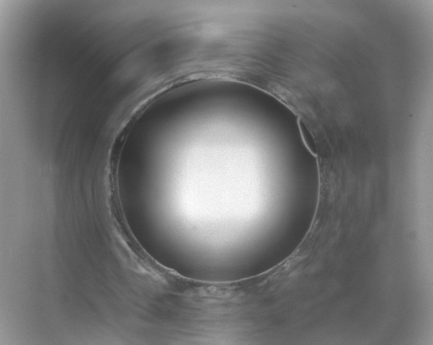 X0000071810338200607072123