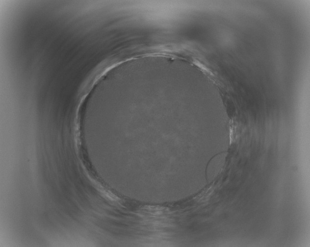 X0000071810339200607072123