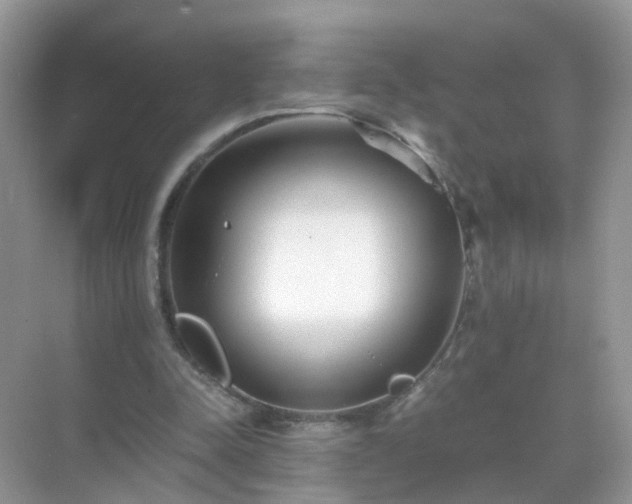 X0000071810342200607072123