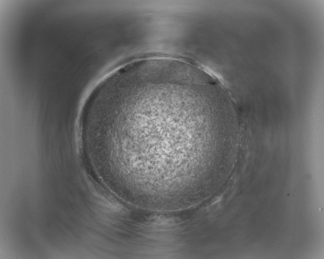 X0000071810343200607072123