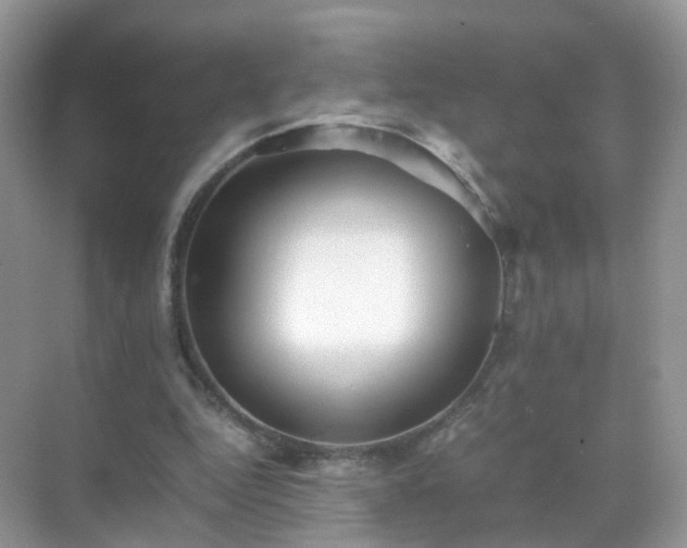 X0000071810344200607072123