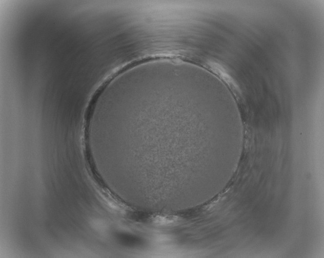 X0000071810346200607072123