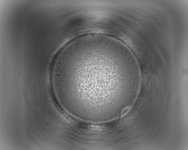 X0000071810347200607072123