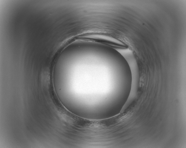 X0000071810348200607072123