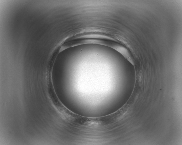 X0000071810352200607072123