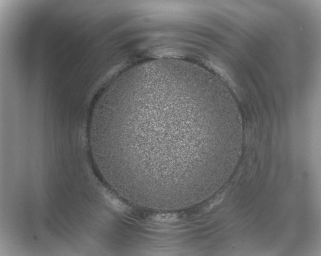 X0000071810353200607072123