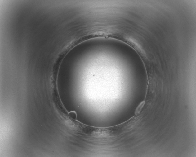 X0000071810354200607072123