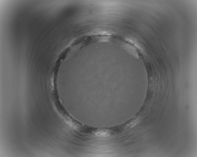 X0000071810358200607072123