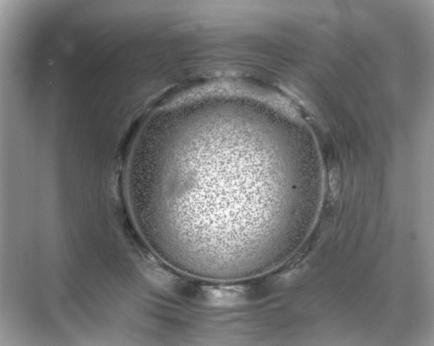 X0000071810359200607072123