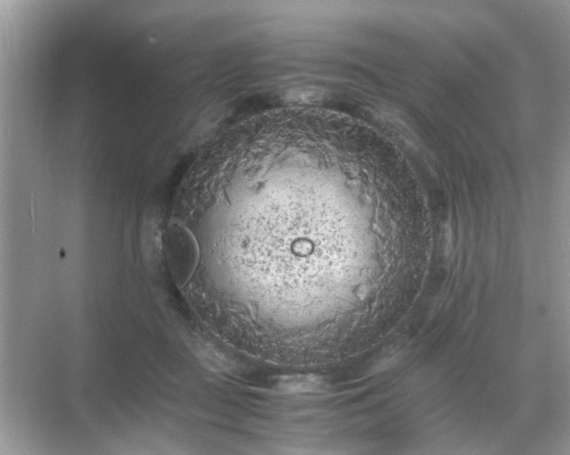 X0000071810363200607072123