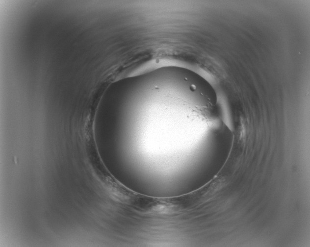 X0000071810364200607072123