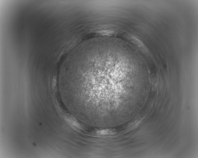 X0000071810365200607072123