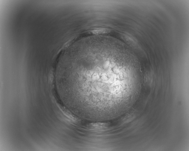 X0000071810367200607072123