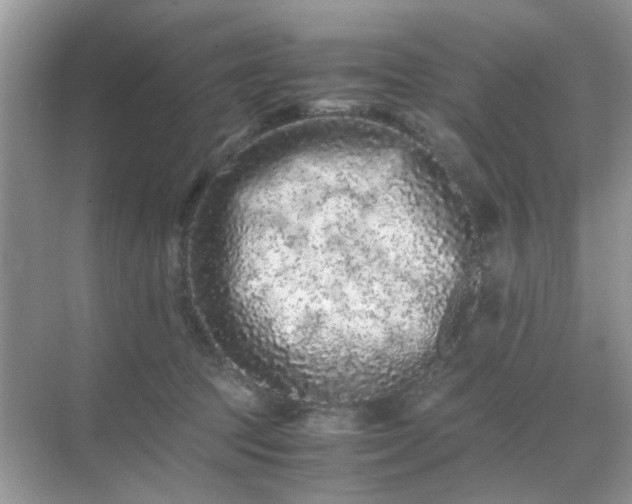 X0000071810369200607072123