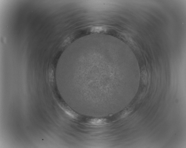 X0000071810375200607072123